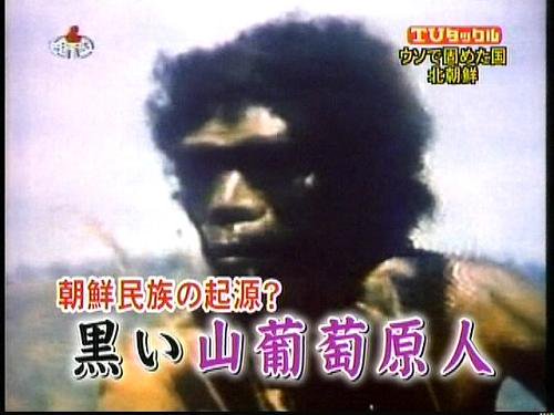 黒い山葡萄原人（朝鮮人）とは何か？ | 中杉　弘の徒然日記