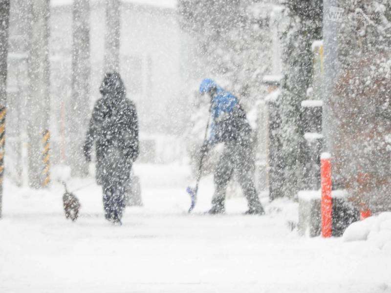 ３つの大雪シナリオ　積雪のカギは南岸低気圧の発達具合（ウェザーニュース） - Yahoo!ニュース