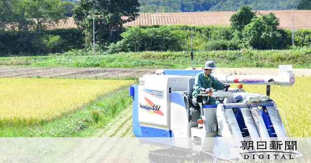 コロナ禍で余るコメ、外食需要減が農家直撃　新たな需要開拓へ：朝日新聞デジタル