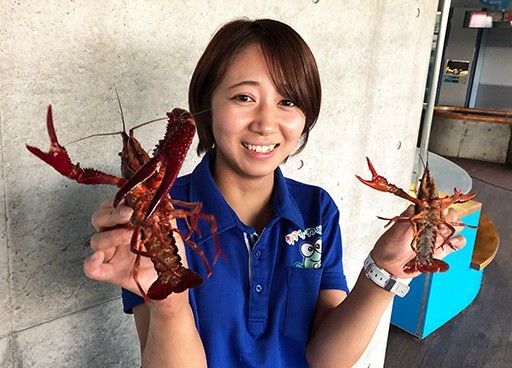 超巨大ザリガニが大阪から見参　スタッフも仰天の28.５センチ　大田原｜県内主要,地域の話題｜下野新聞「SOON」ニュース｜下野新聞 SOON(スーン)