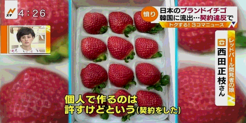 綺麗な着物が見たい