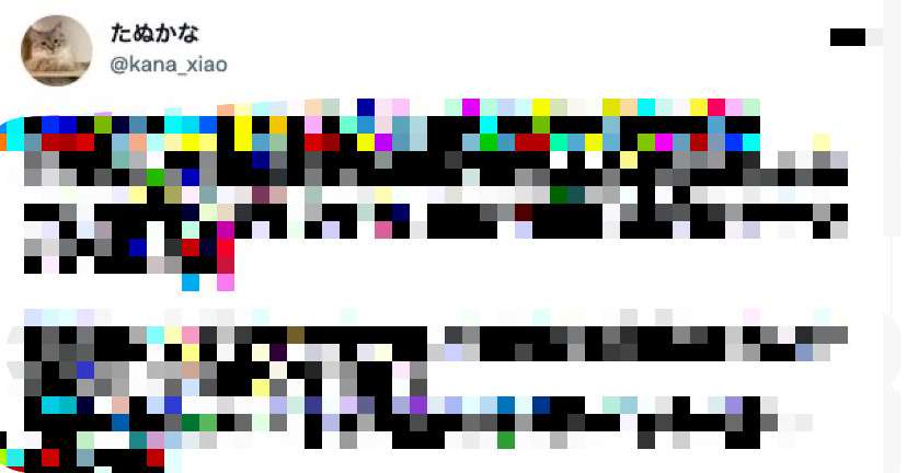 たぬかな差別発言は売名目的か「毒舌キャラ作りに必死だった」 | RON'S JOURNAL