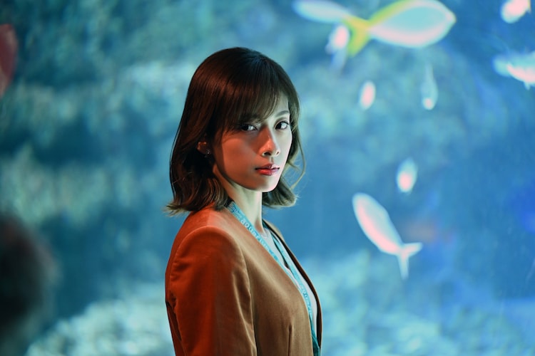 日曜劇場「DCU」第6・7話ゲストに明日海りお、水族館のプロデューサー役（コメントあり） - ステージナタリー