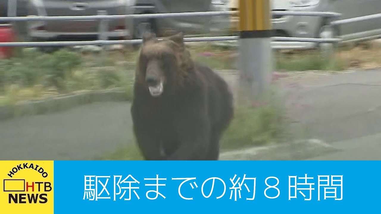 「後ろ見たらクマがバーっと来ていた…」札幌・東区の住宅街にクマ…通報から駆除までの約８時間 - YouTube