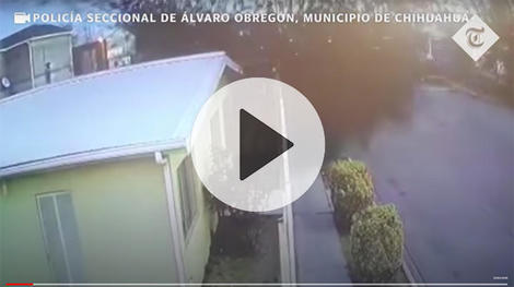 【映像】鳥の大群が住宅街に一斉落下、メキシコで謎の大量死｜ニューズウィーク日本版 オフィシャルサイト