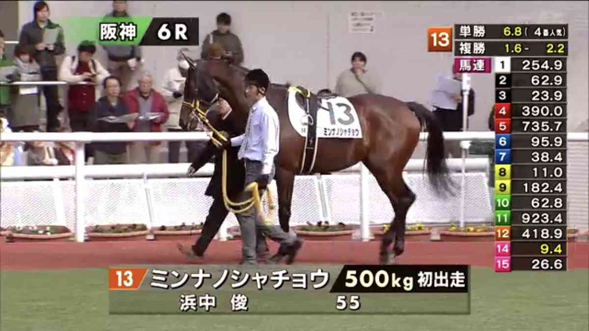 競走馬のユニークな名前