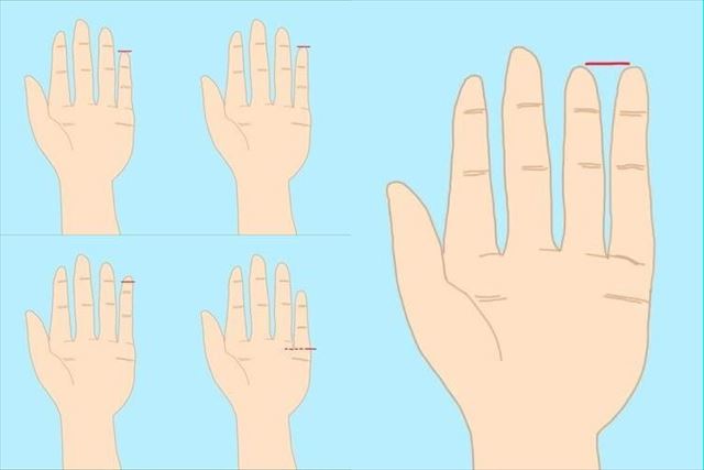 小指の長さと形で分かる性格診断が意外と当たる！ ｜ ガジェット通信 GetNews
