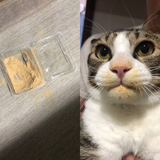 【逆に】ファンデーションを塗ると肌が汚く見える【なぜ？】