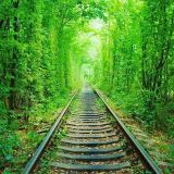 >>18出雲大社の式年遷宮の際のお守りをずっと持ってるよ。古くなった方の社殿の木... | ガールズちゃんねる - Girls Channel -