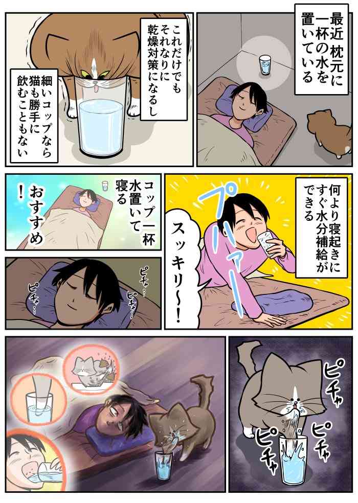 今までそれ、飲んでたんだが…　爽やかな朝を迎えようとする猫飼いが知ってしまったショックな事実