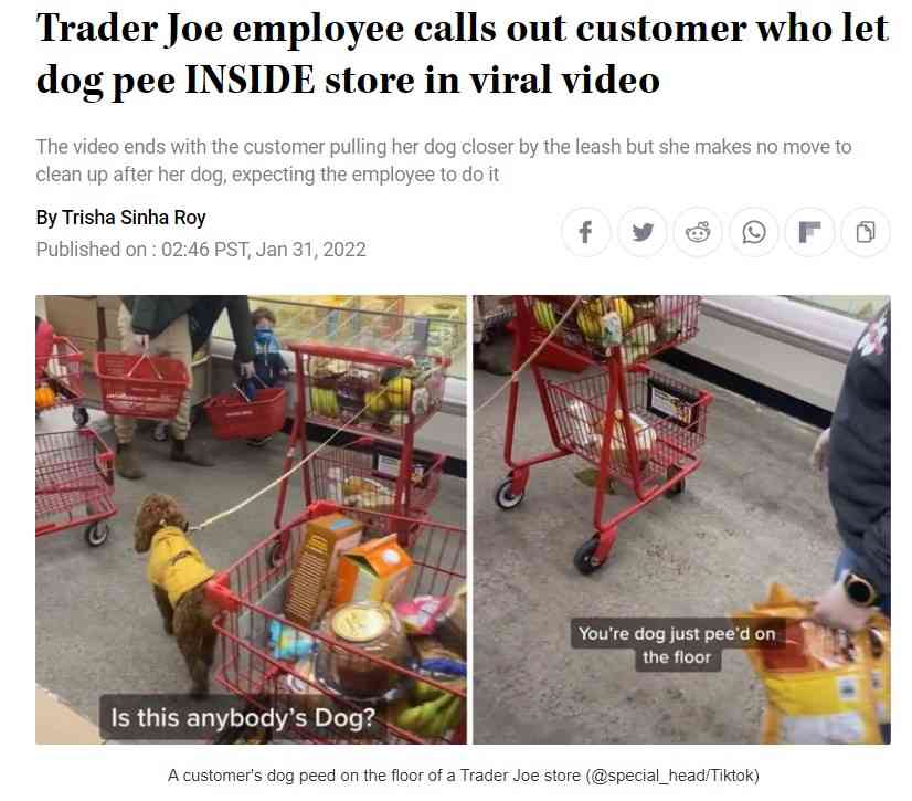 スーパー店内で犬が粗相、従業員に後始末をさせる飼い主に「非常識」と非難殺到（米）