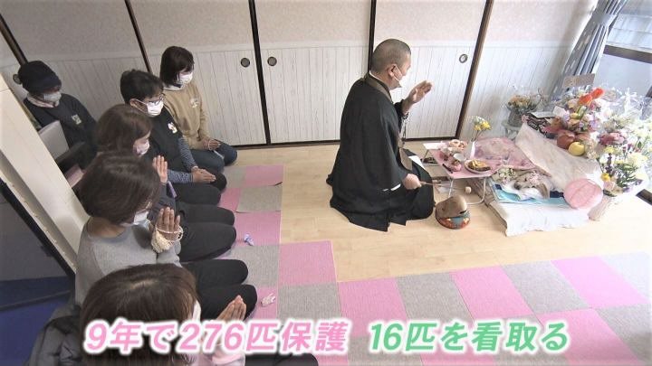 老犬捨てる人が増加…保護して16匹看取ってきた代表「飼い主に見せたい。最期までこんな立派に生きたよと」