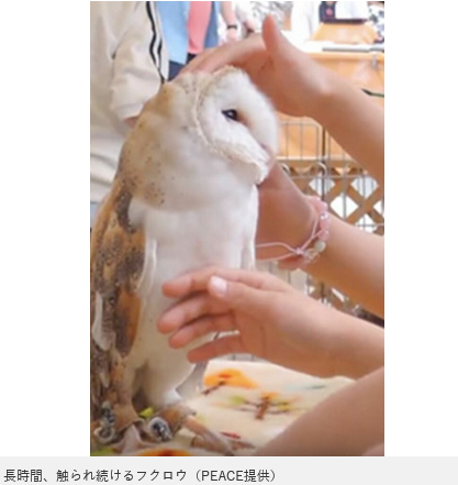 イオンら大手は撤退、劣悪な環境下の“ふれあい”という名の暴力「移動式動物園」虐待の実態