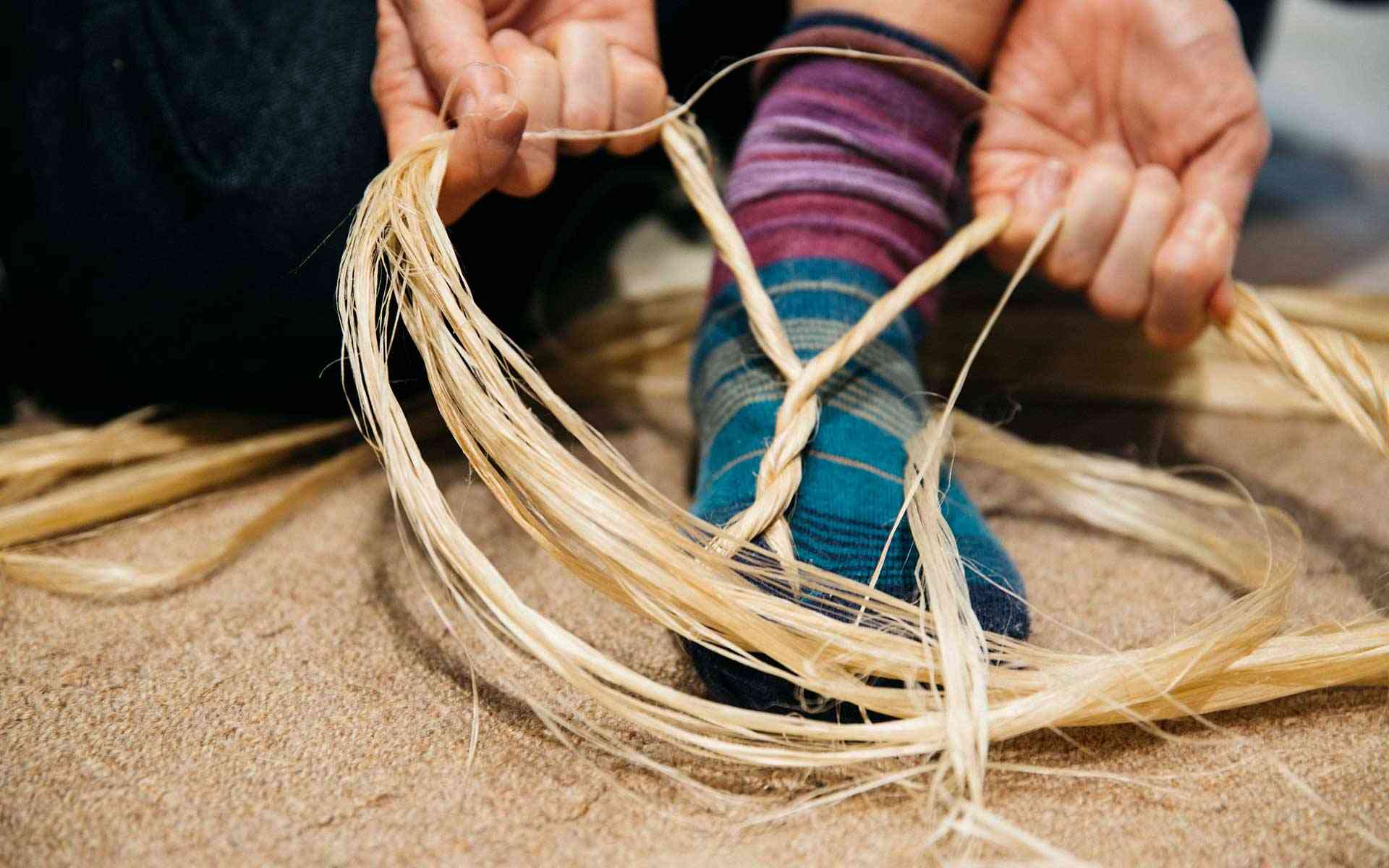 犬の散歩あるある