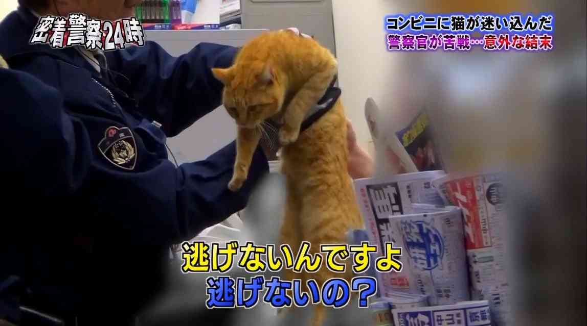 【感想・実況】列島警察捜査網THE追跡 2022春の事件簿