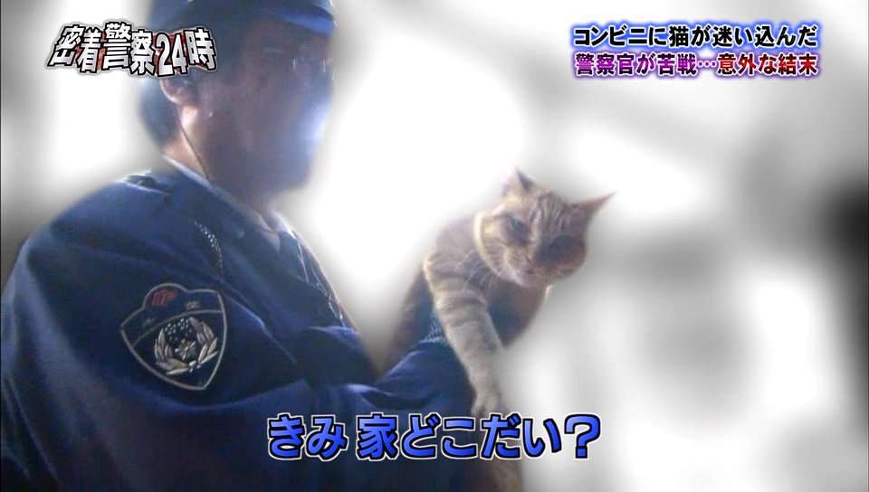 【感想・実況】列島警察捜査網THE追跡 2022春の事件簿