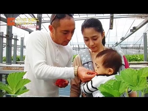 海老蔵さん、麻央さん、麻耶さん、家族でいちご狩り (2014年3月) - YouTube