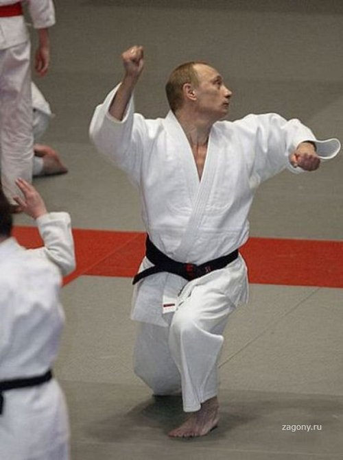 プーチンの画像を集めよう！