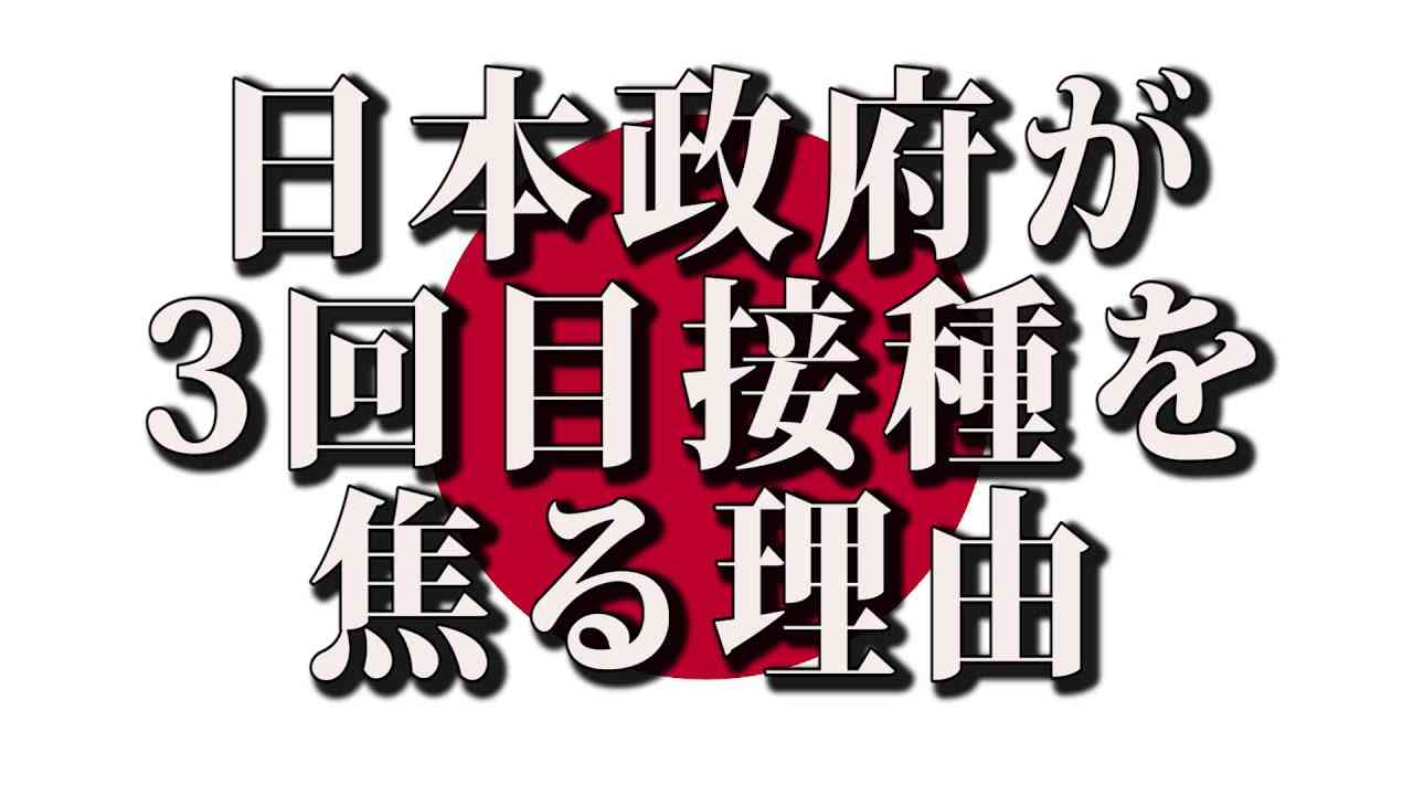 【削除覚悟】日本人が知るべき日本の現実　-間接統治編- - YouTube