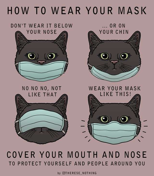 アメリカ人に正しいマスクの着け方を教えてあげるニャ　猫の啓発ポスターが「可愛く、わかりやすい」と話題（まいどなニュース） - Yahoo!ニュース