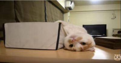 結果が出るまでどう過ごす？