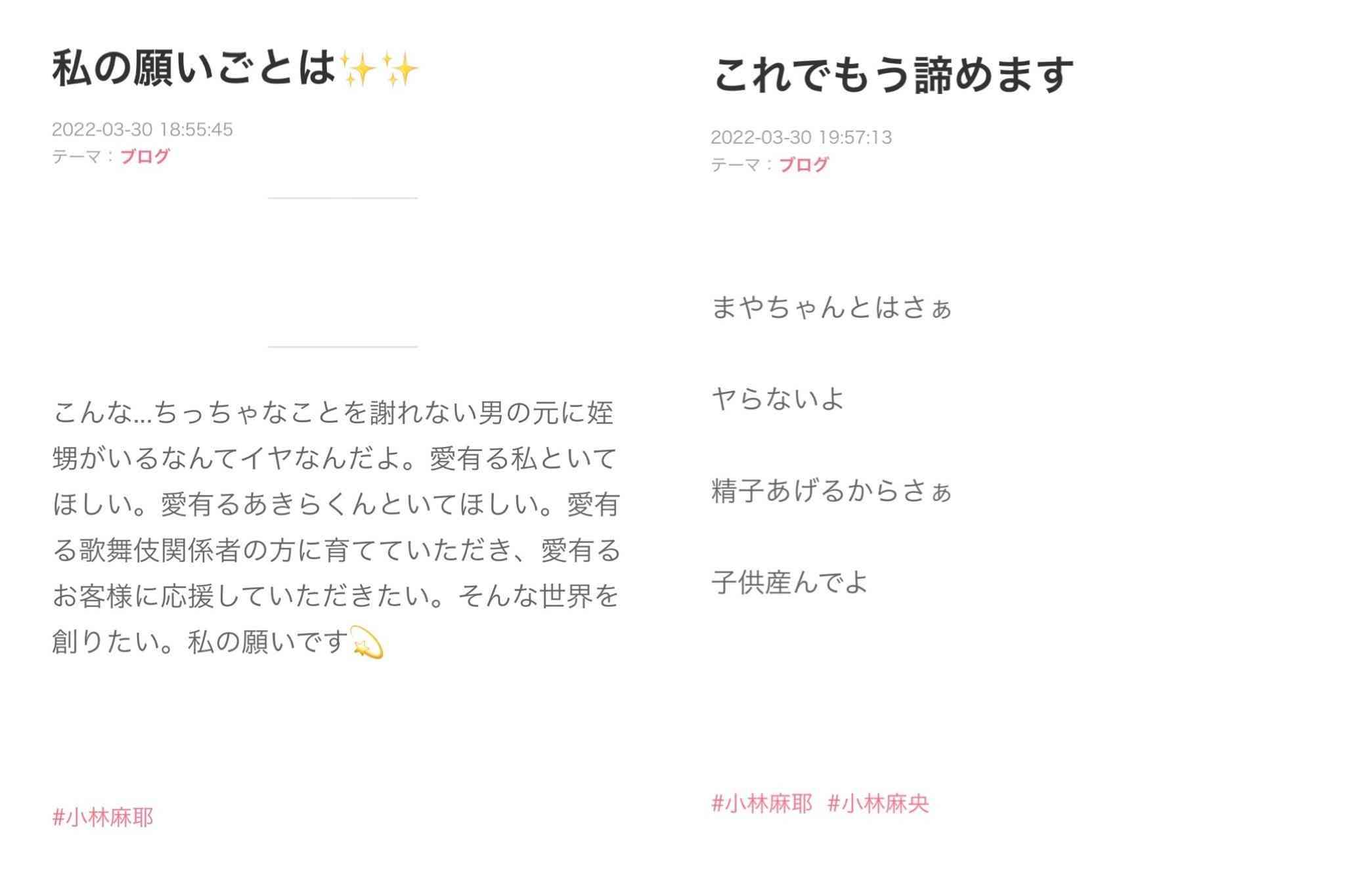 小林麻耶が再婚発表「父とは縁を切って “駆け落ち”」海老蔵への批判動画はすべて削除の急展開