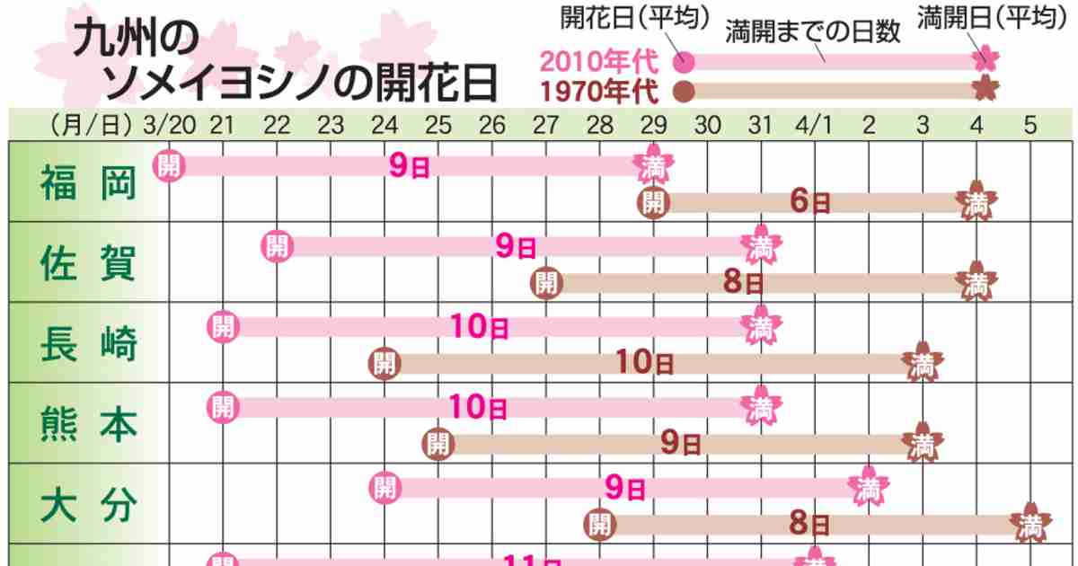 50年後は花見できない？温暖化で加速する桜異変　専門家｢異常が普通に｣｜【西日本新聞me】