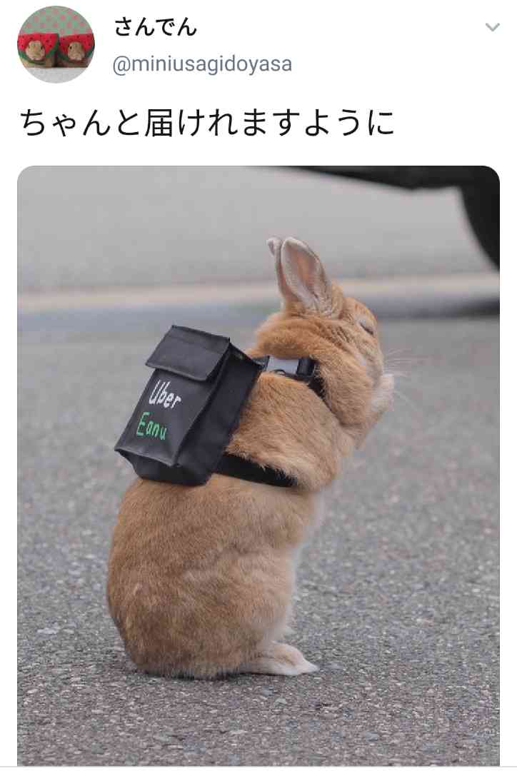 世界一かわいいウサギの配達員　“置き配”に悩む姿に14万人胸キュン「ウーサーイーツ」