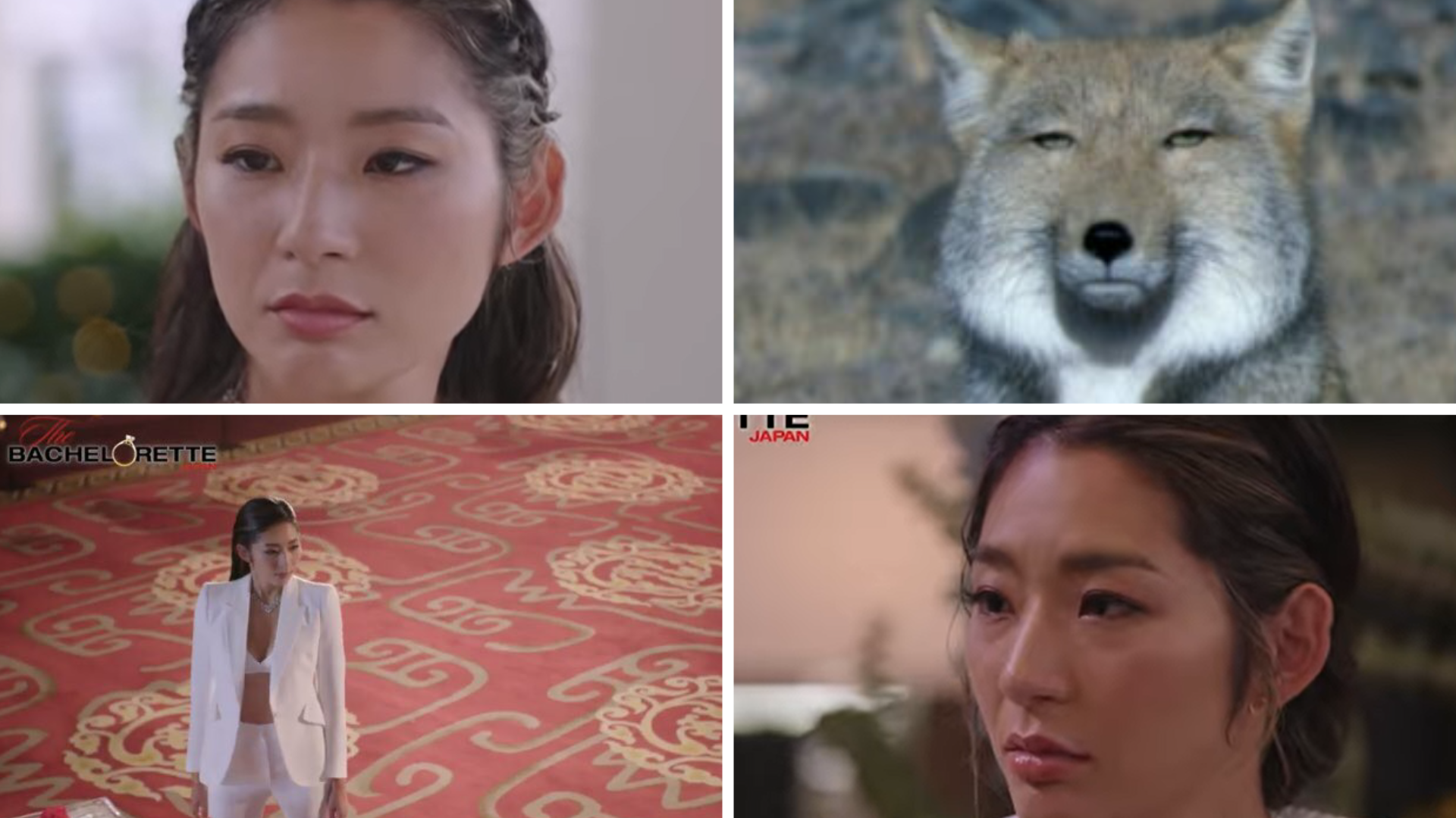 『バチェロレッテ・ジャパン』シーズン2が今夏配信 初代・福田萌子「それぞれの愛のカタチを感じられるのが楽しみ」