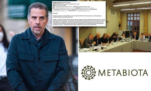 Hunter Biden helped secure millions in funding for military biotech research program in Ukraine | Daily Mail Online