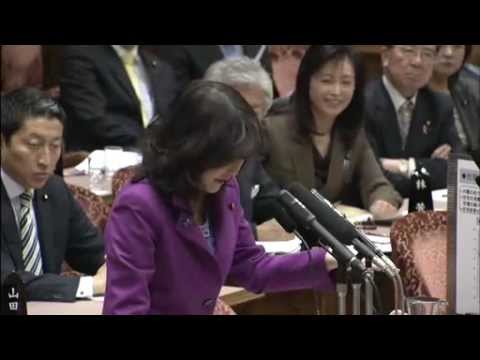 社会保障と税 外国人生活保護 参議院予算委員会 片山さつき議員(自) ①  H24 3.16 - YouTube