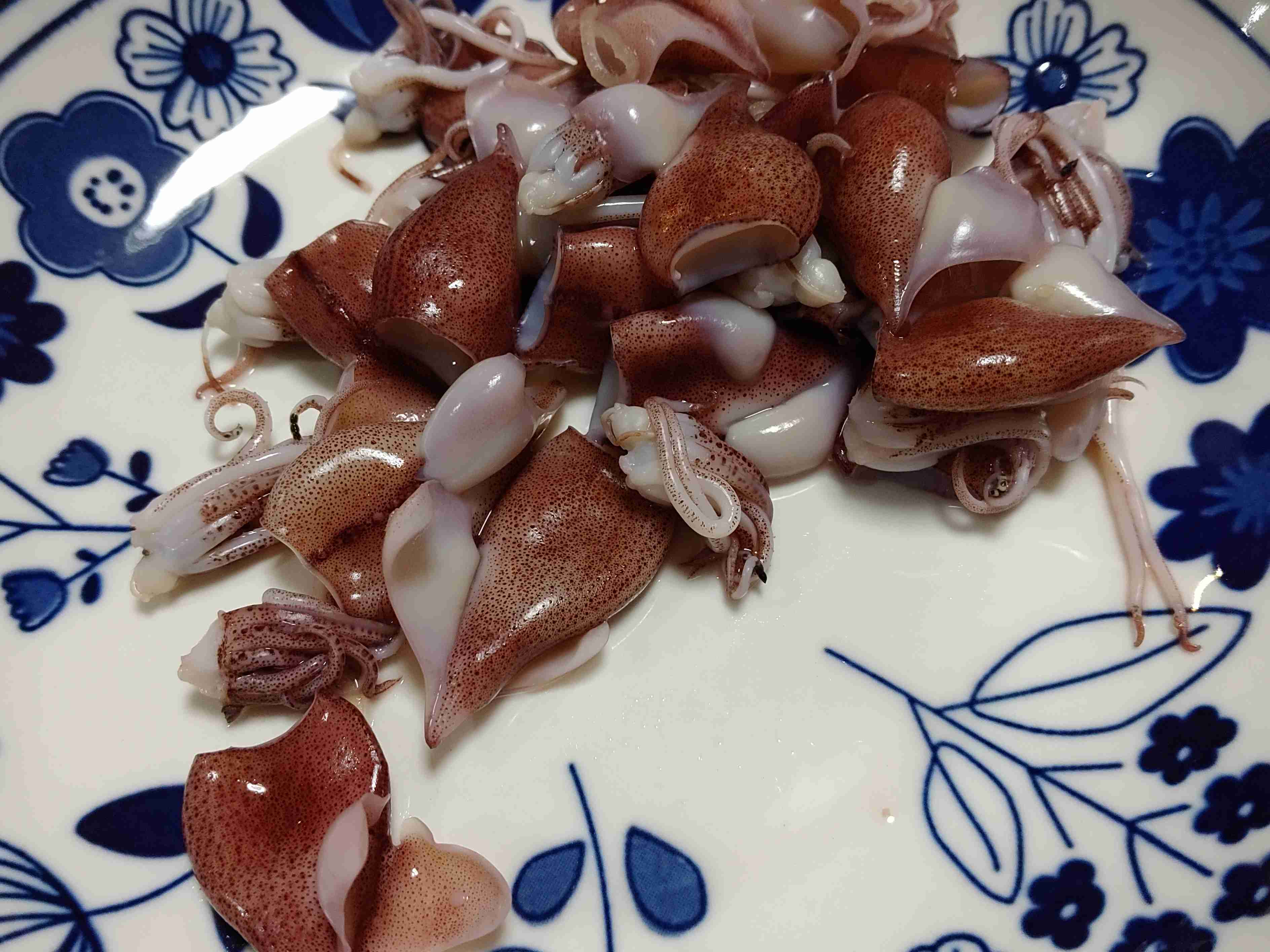 ホタルイカ好きな人 ガールズちゃんねる Girls Channel