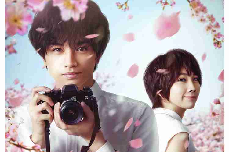 桜のような僕の恋人(Netflix)見た人！