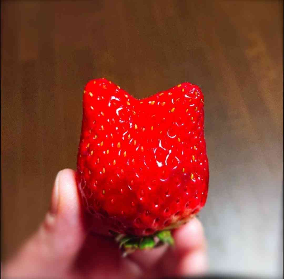 どうしても見せたい画像がある人の貼り場トピ