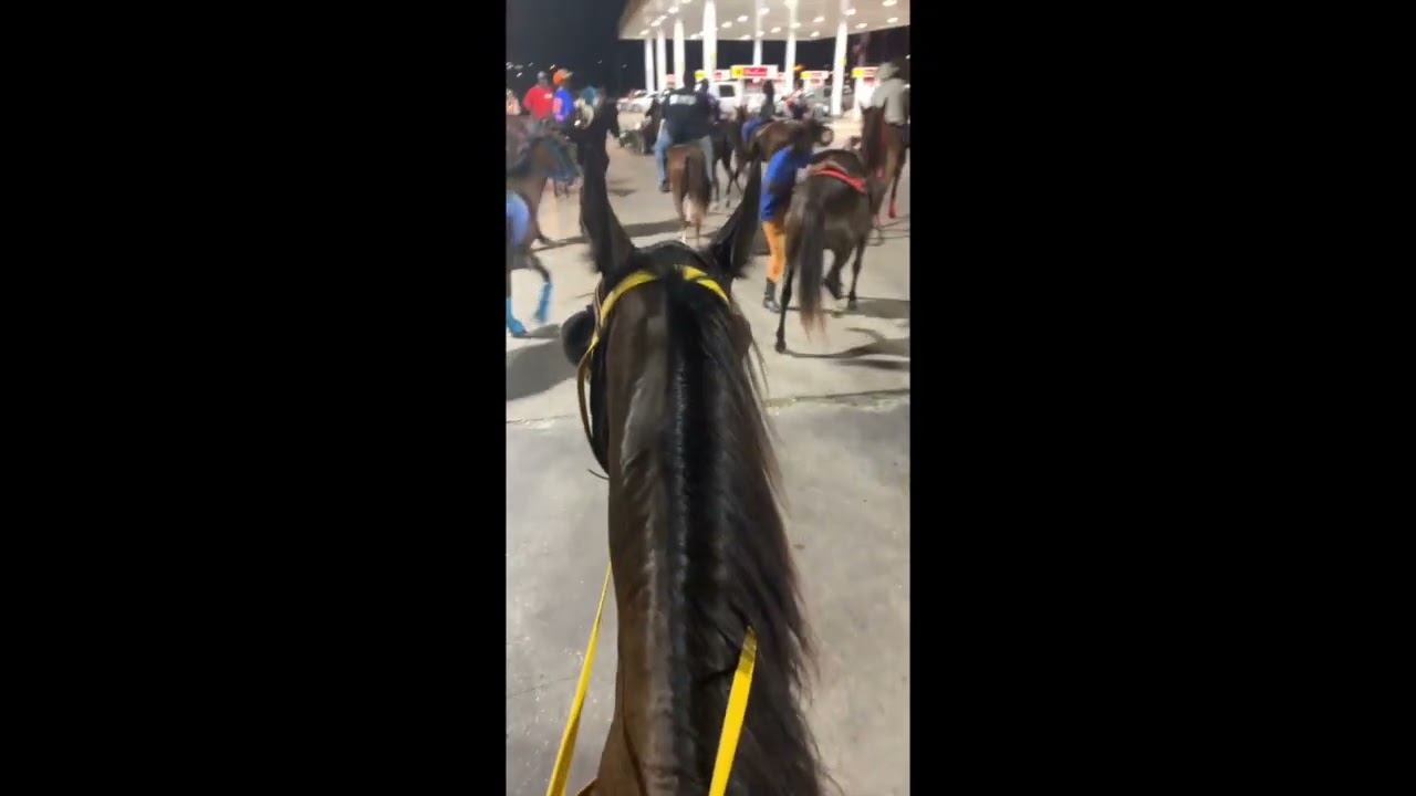 Group Gallops to Gas Station by Horse to Avoid High Petrol Prices - YouTube