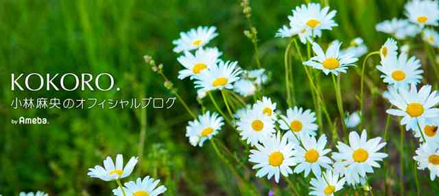 100% 間違い→99%間違い | 小林麻央オフィシャルブログ「KOKORO.」Powered by Ameba