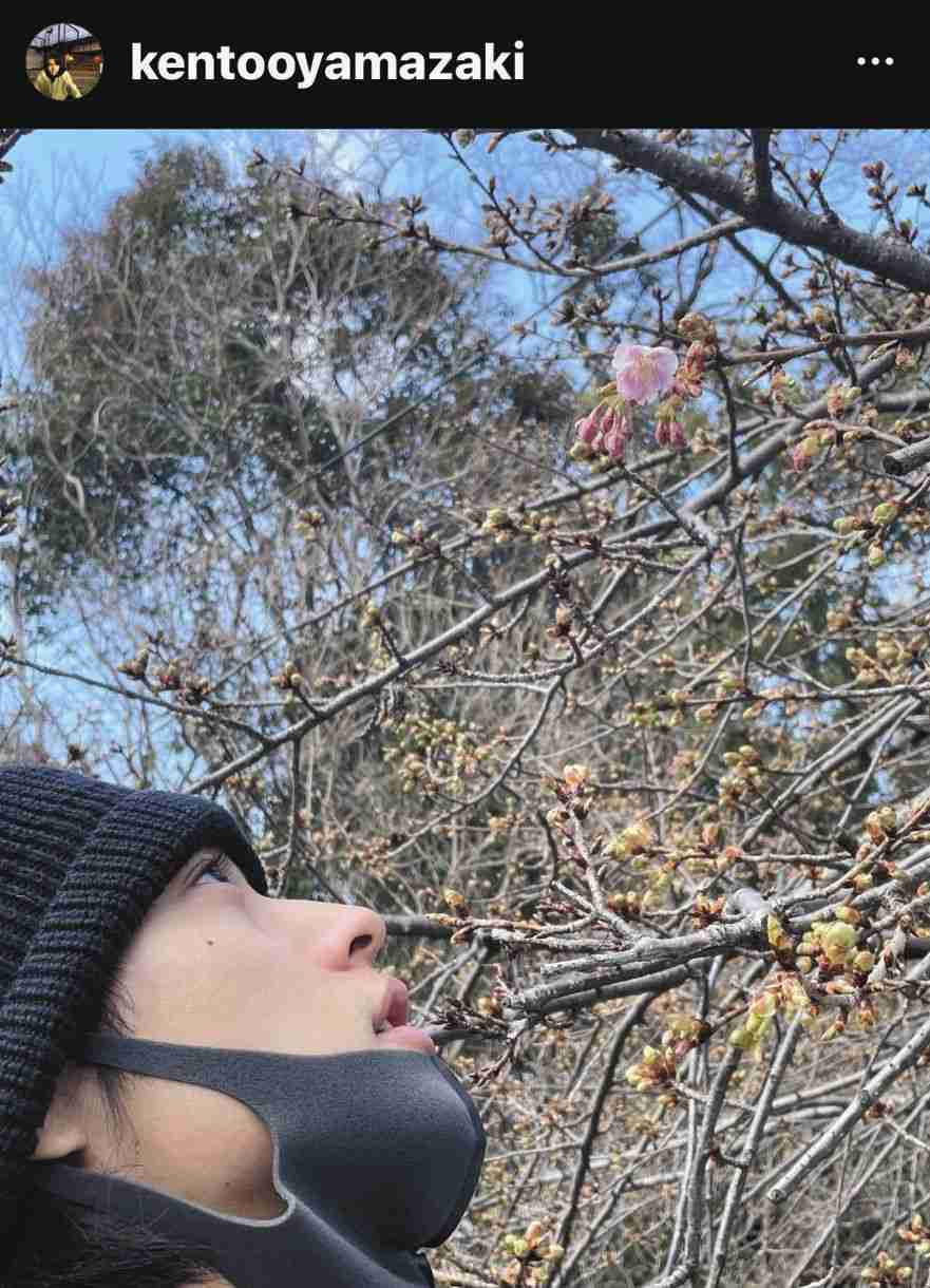 山崎賢人がひさびさのインスタ投稿 「春きたりけり」と花をめでる写真に「横顔ステキ」「彼氏感」ファン興奮