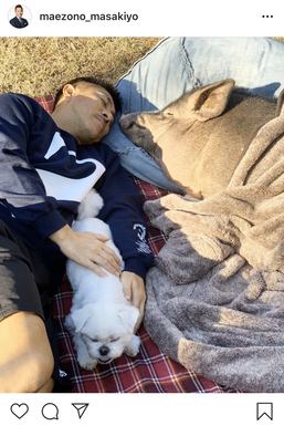 ペット界で人気急上昇！「マイクロブタ」にハマる人が続出、人気の秘密は犬猫をしのぐ“人懐っこさ”