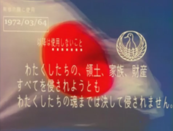 一瞬我が目を疑うような画像を貼るトピ