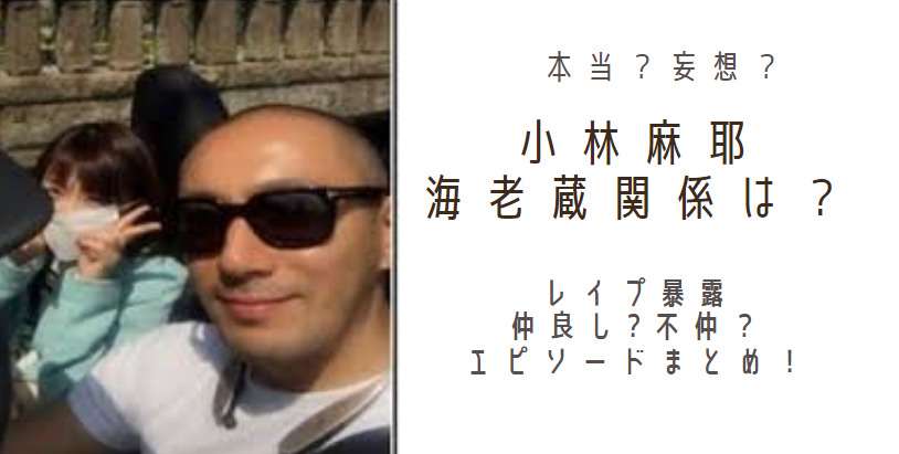 小林麻耶と海老蔵の関係:不仲の原因は夫？家？レイプされたのは本当？