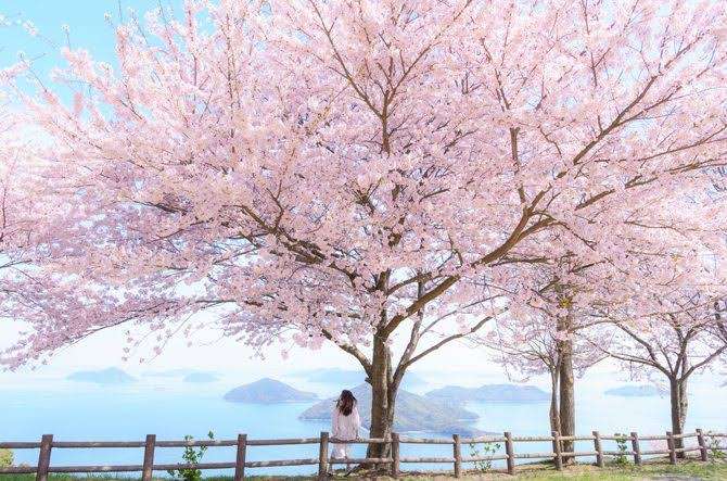 返信が付いたら何か少し良い事があるかもしれないトピpart4