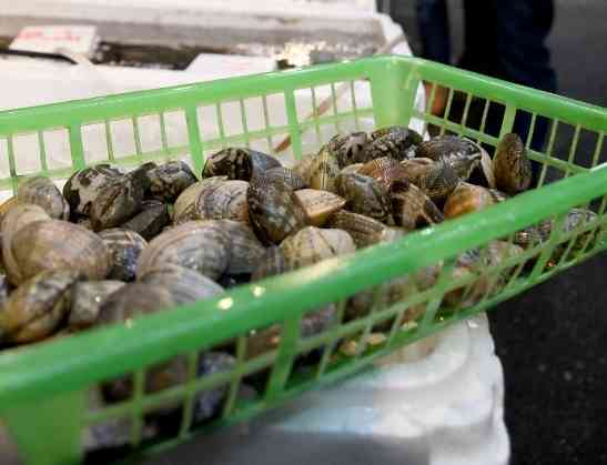 「熊本県産アサリ」79％→ゼロに　偽装発覚後初の調査　中国産、一気に74%（西日本新聞） - Yahoo!ニュース