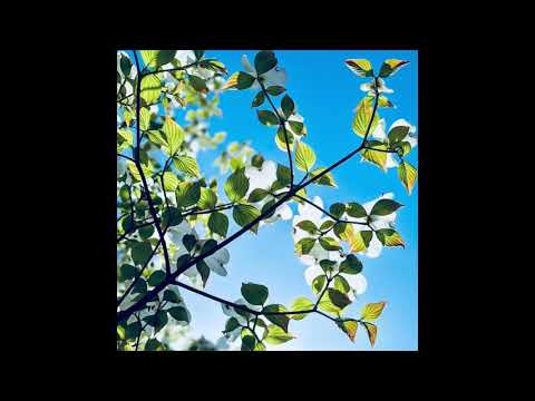 霧雨で見えない - HI FI SET（ 山本潤子 山本俊彦, 大川茂） - YouTube