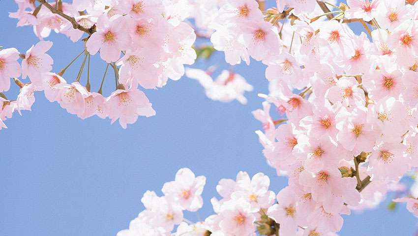 今月の雑談トピ【2022年4月】