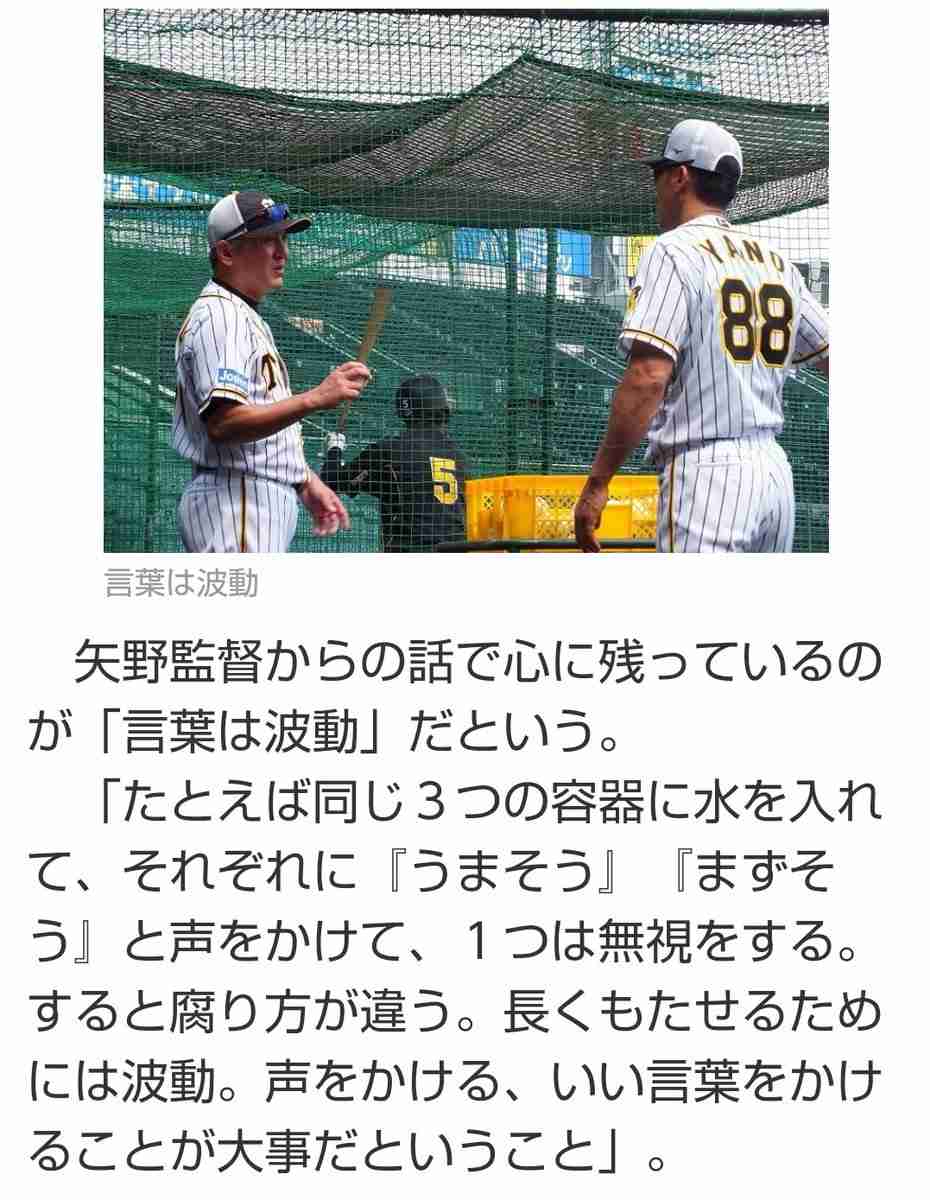 阪神 史上最悪の開幕17試合で1勝…ワースト勝率・063まで降下、53イニング適時打なしで6連敗