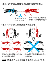 東京慈恵会医科大学 熱帯医学講座