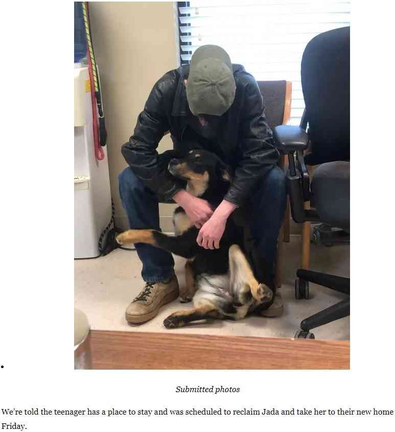【海外発！Breaking News】「もう飼えないんだ」動物保護施設に犬を託したホームレスの少年、後日再会を果たす（米）＜動画あり＞ | Techinsight（テックインサイト）|海外セレブ、国内エンタメのオンリーワンをお届けするニュースサイト