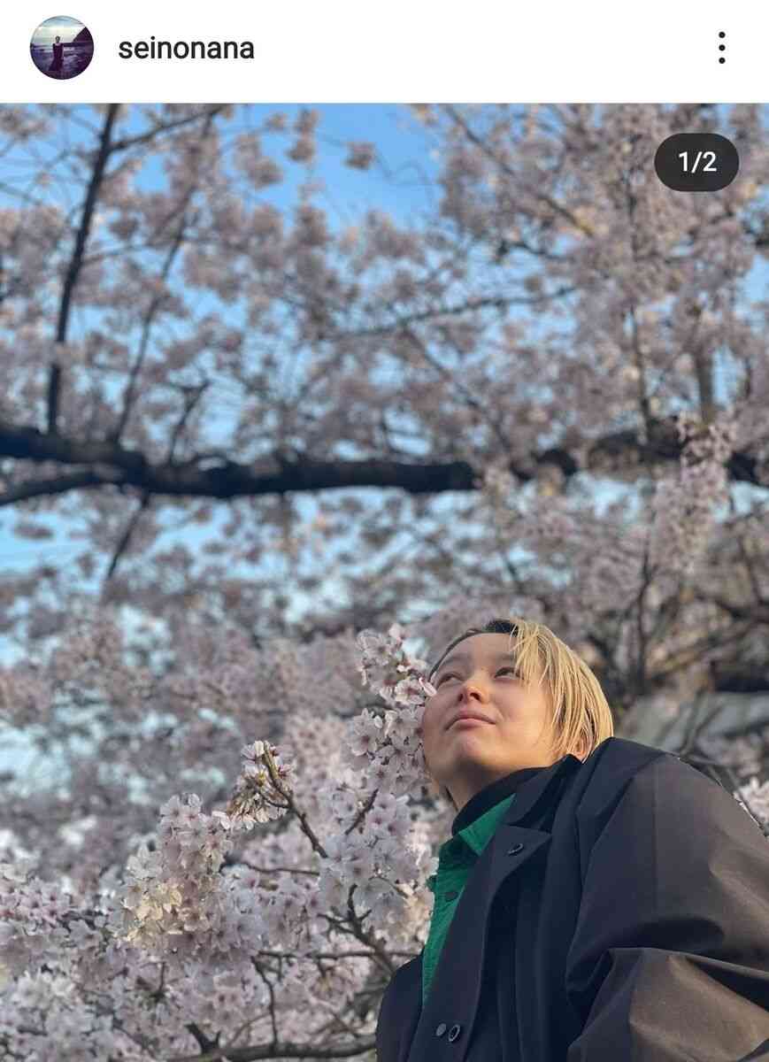 清野菜名、産後の金髪姿が印象激変…桜を見る写真に反響「ベビちゃんと斗真くんも一緒？」