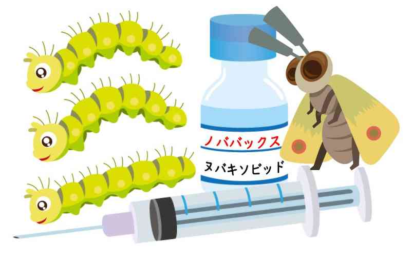 河野太郎氏 マスク着用解除の時期に言及「3回目までのワクチンはぜひお願いしたい。それがベースで…」