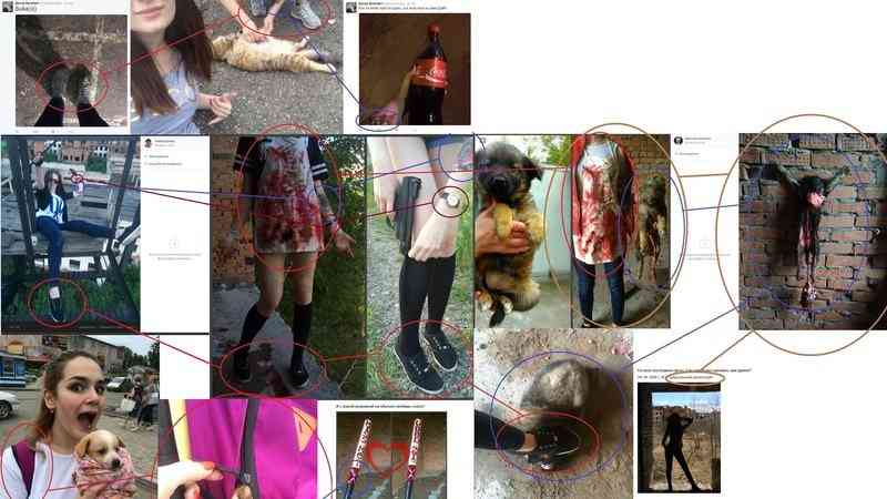 署名追記！【署名あり】「動物虐待＆惨殺をSNSに投稿して逮捕された少女」-ロシア | めー子のブログ